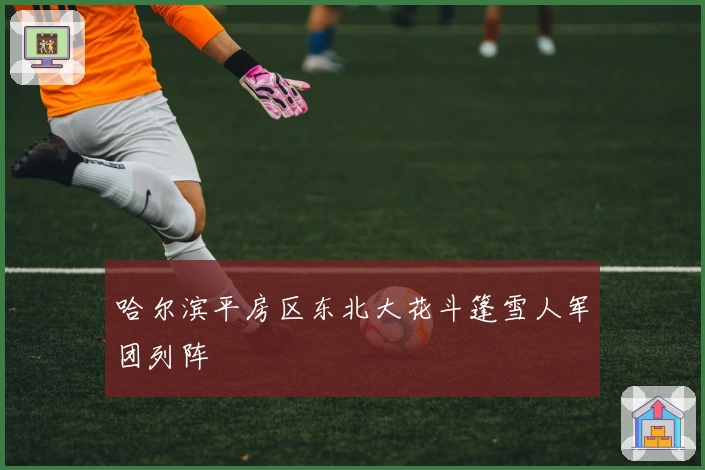 哈尔滨平房区东北大花斗篷雪人军团列阵