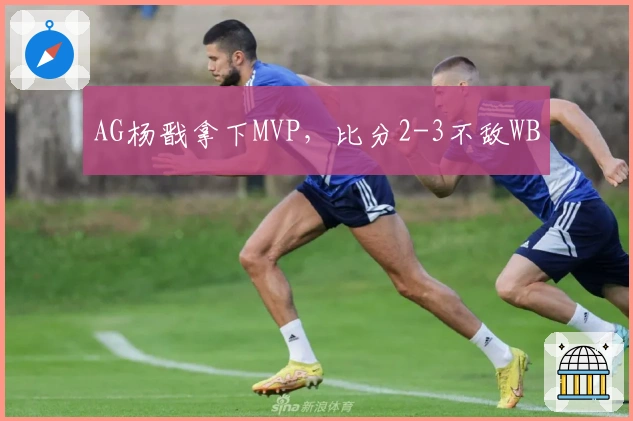 AG杨戬拿下MVP，比分2-3不敌WB