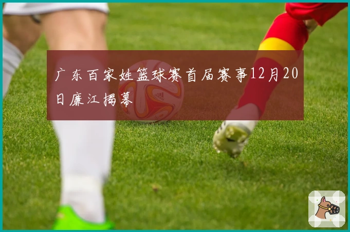 广东百家姓篮球赛首届赛事12月20日廉江揭幕